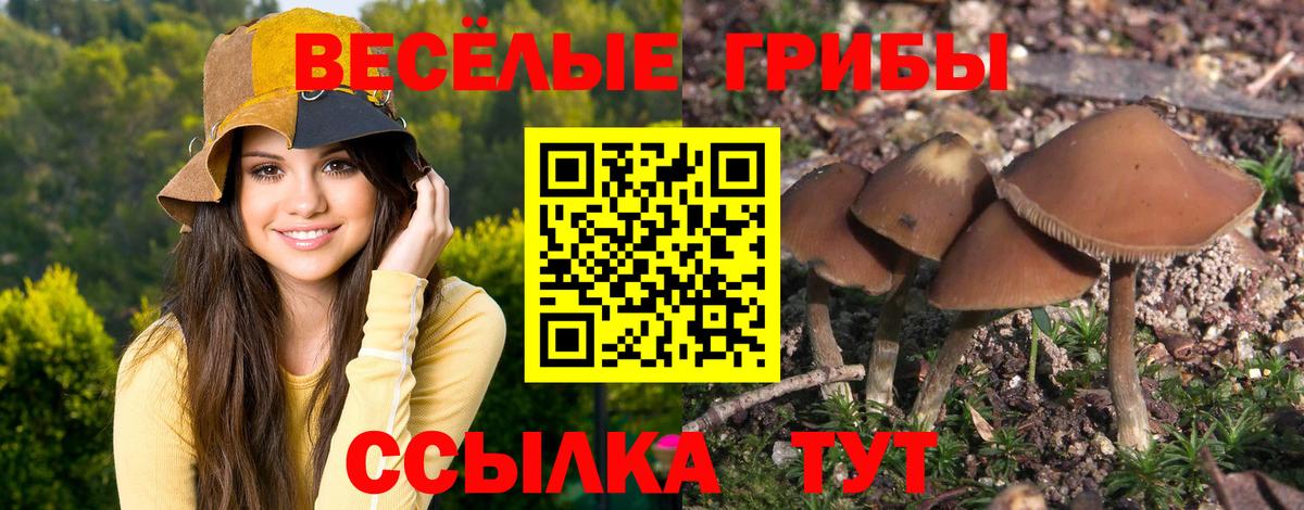 Галлюциногенные грибы Magic Shrooms Муравленко